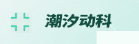 合作伙伴